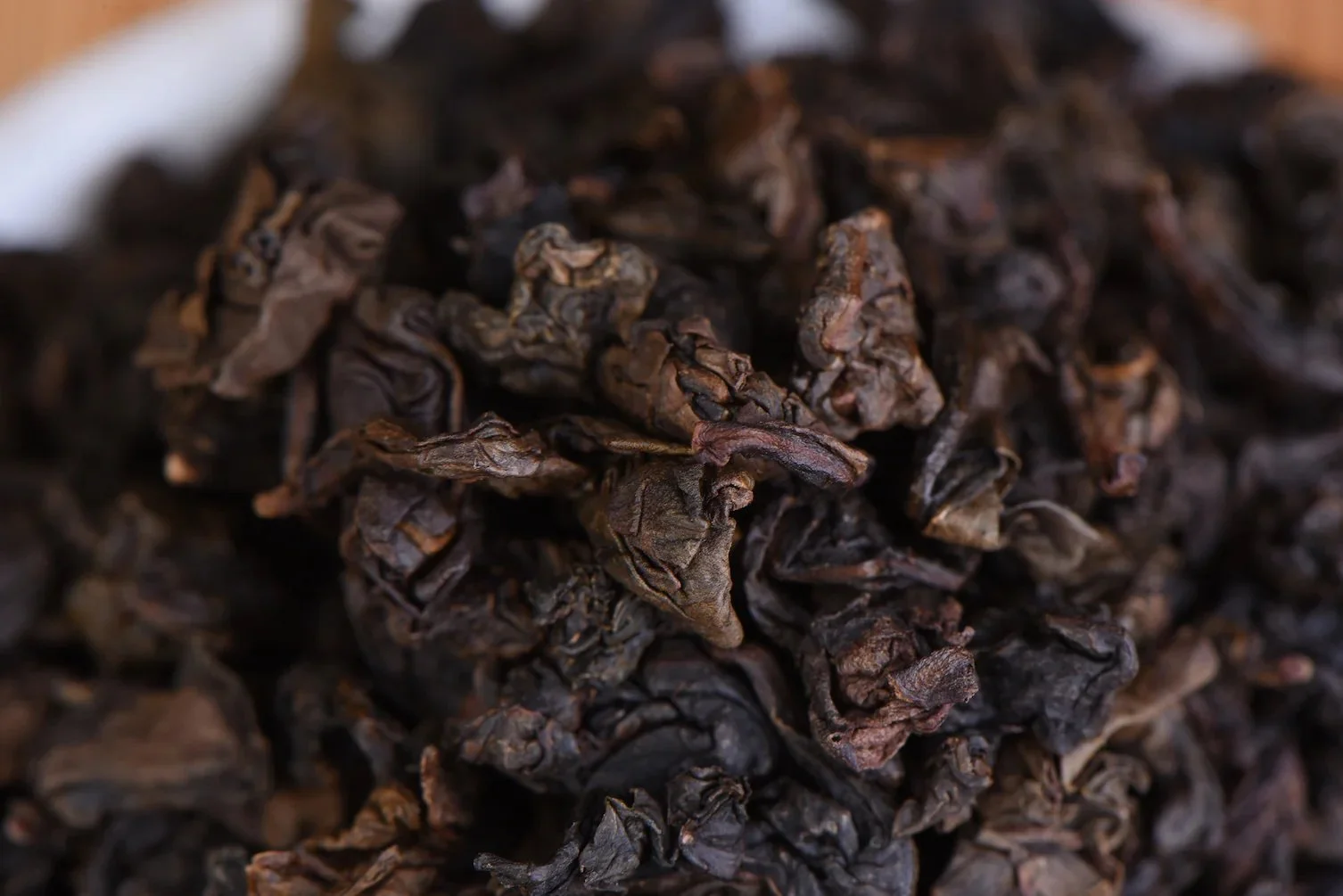 Sophistication — Kojo Roastery